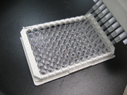 OxiSelect™ Total Glutathione (GSSG/GSH) Assay Kit